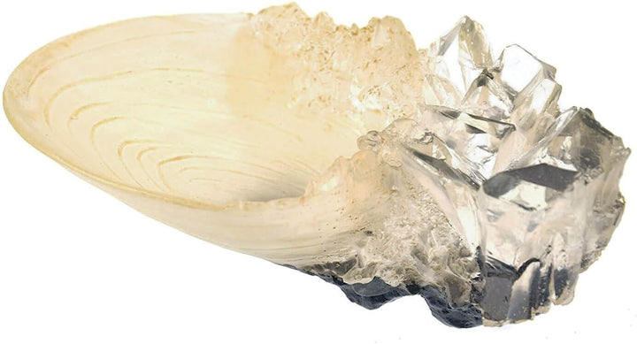 The Noble Collection France Noble Collection  Der Kristallbecher aus der Höhle, NN1009, Weiss
