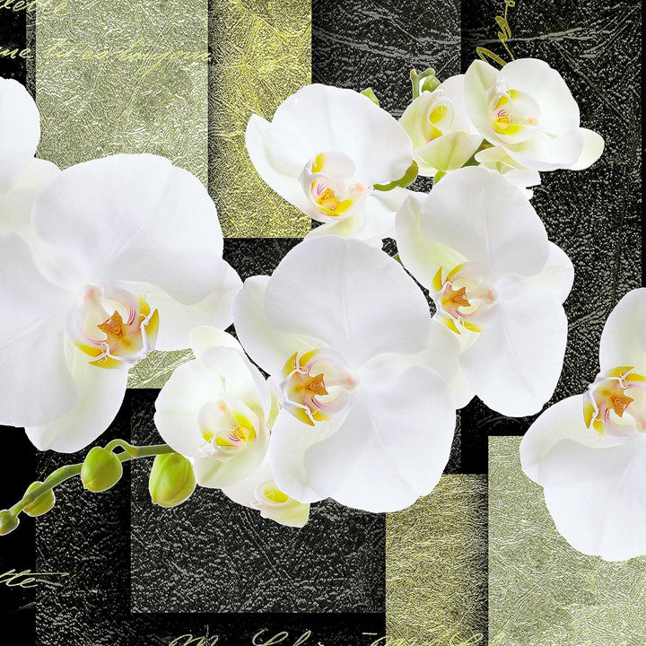 Runa Art - Bilder Blumen Orchidee 200 x 100 cm 5 Teilig XXL Wanddekoration Design Grün 009351b