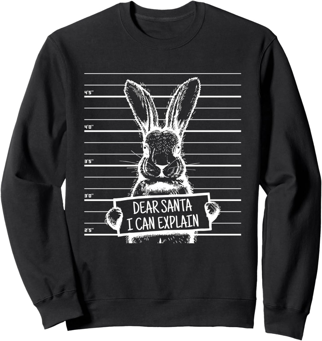 Osterhase Dear Santa I Can Explain Funny XMAS Christmas Sweatshirt