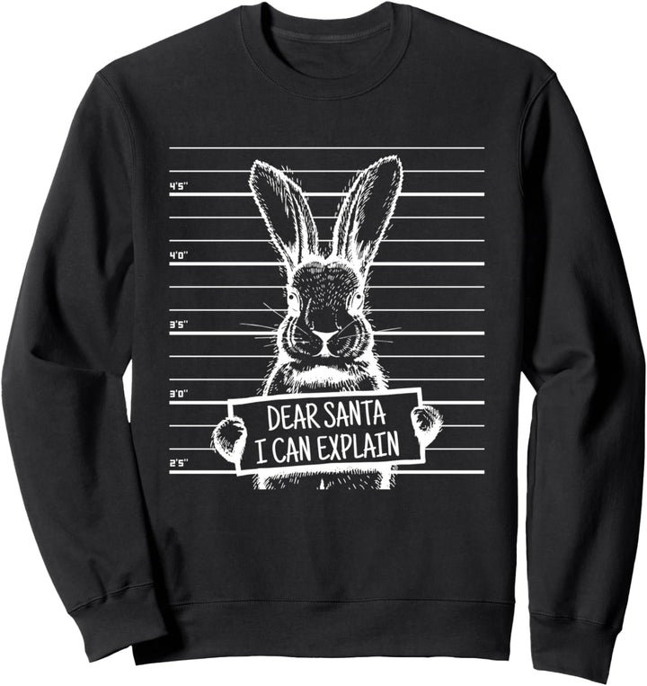 Osterhase Dear Santa I Can Explain Funny XMAS Christmas Sweatshirt