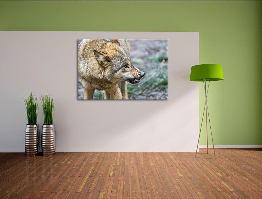 Pixxprint knurrender Wolf auf Leinwand, XXL riesige Bilder fertig gerahmt mit Keilrahmen, Kunstdruck