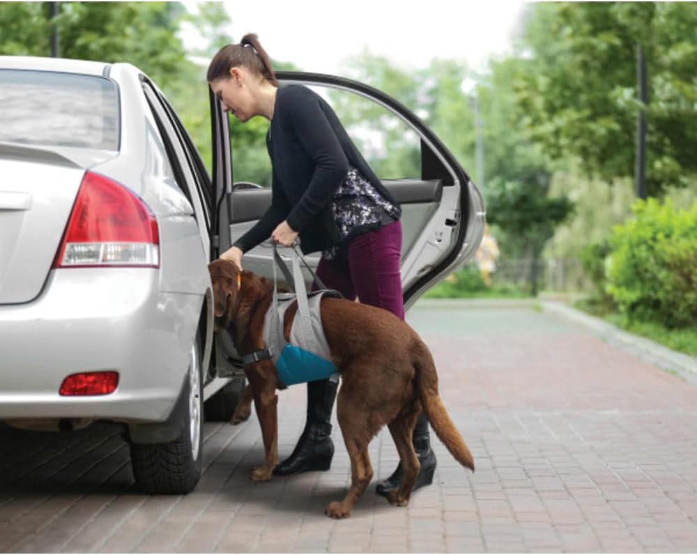Kurgo Up and About Hebegeschirr für Hunde, ergonomisches Design, Hilft dem Hund beim Treppensteigen