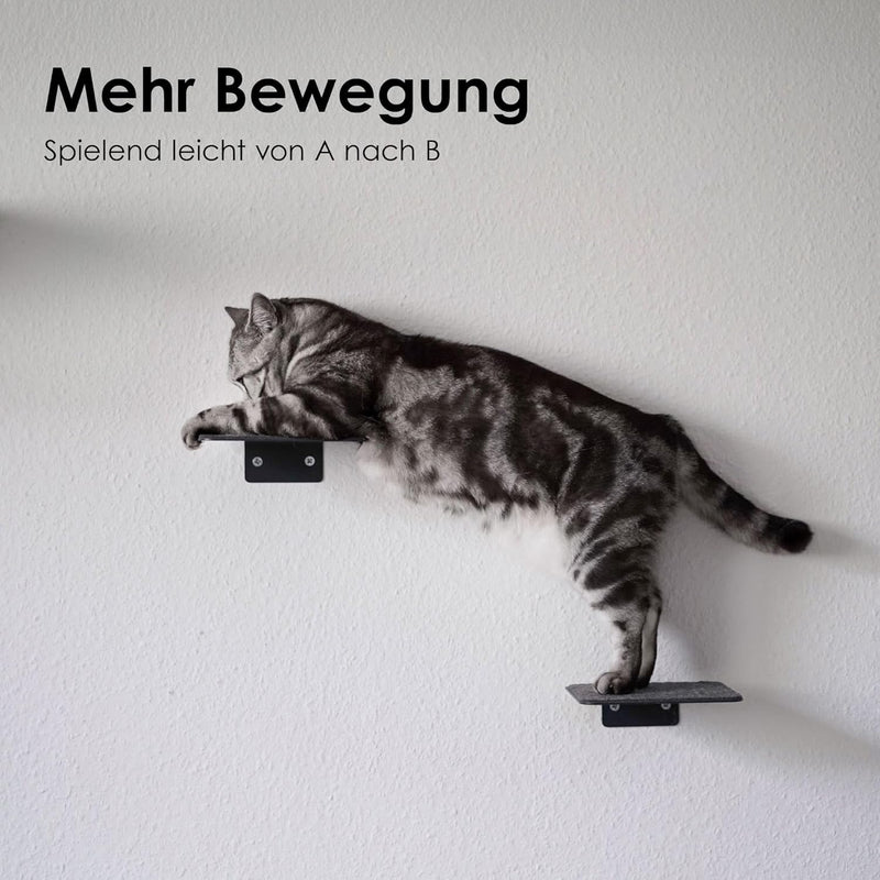 LucyBalu® STEPS XL Katzentreppe Wand Innen Aussen 3er Set | Katzen Kletterwand | Wandpark für Katzen