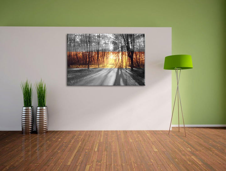 Allee im Herbstlicht schwarz/weiss Format: 100x70 auf Leinwand, XXL riesige Bilder fertig gerahmt mi