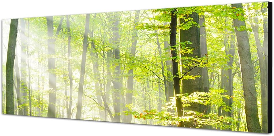 Paul Sinus Art Panoramabild auf Leinwand und Keilrahmen 150x50cm Bäume Wald Sonnenstrahlen Herbst