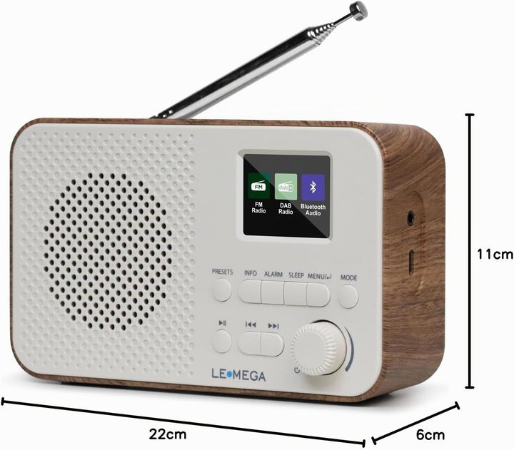 LEMEGA DAB Go DAB+/UKW Radio – Small Radio,Digital Radio with Bluetooth Streaming,Simple Controls,OL