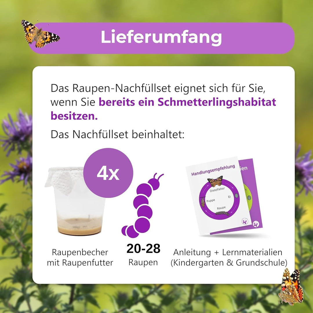 Raupenbecher - Raupen-Nachfüllset - 4 Raupenbecher (Je ca. 7 Raupen) | Ideale Ergänzung zum Schmette