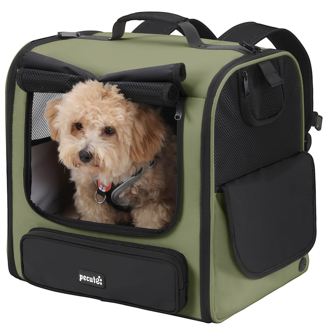 pecute Grosse Katzen Rucksack Tragetasche für Katzen & kleine Hunde, Belüfteter & robuster Haustier