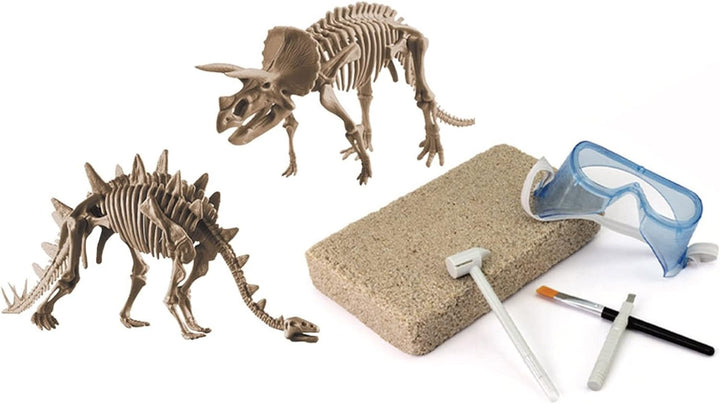 Grosses 2in1 Dinosaurier Ausgrabungsset mit Werkzeug Triceraptops und Stegosaurus in schwerem Sandbl