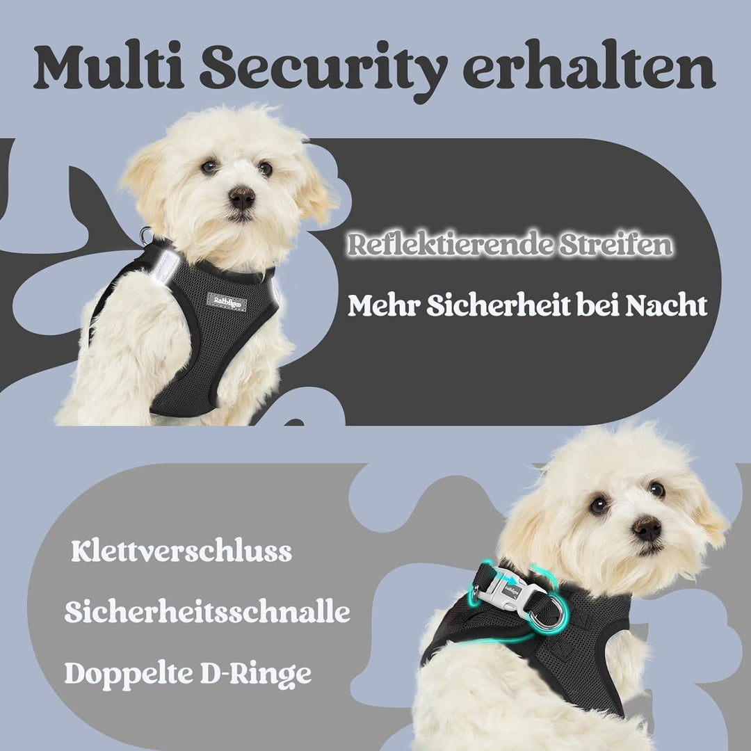 rabbitgoo Hundegeschirr Kleine Hunde, Step-in Welpengeschirr Weich Mesh für Spaziergänge, Atmungsakt