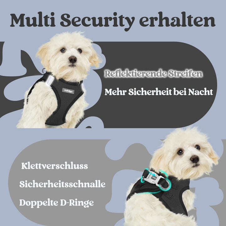 rabbitgoo Hundegeschirr Kleine Hunde, Step-in Welpengeschirr Weich Mesh für Spaziergänge, Atmungsakt