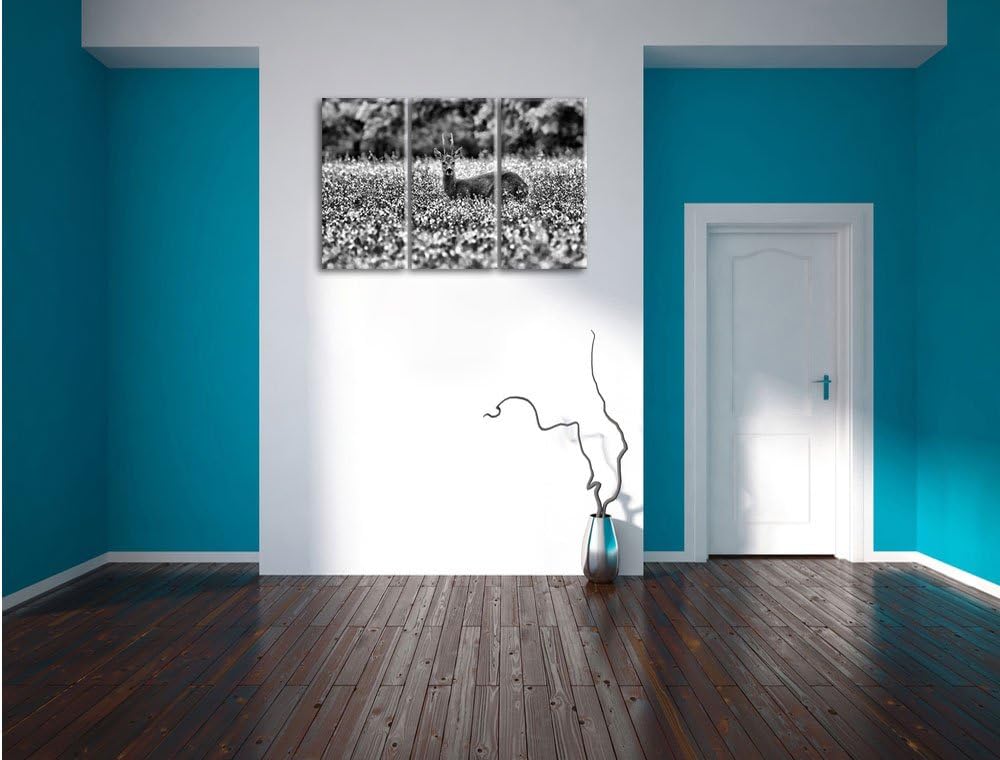 Pixxprint Monocrome, junger Hirsch auf Wildwiese 3-Teiler Leinwandbild 120x80 Bild auf Leinwand