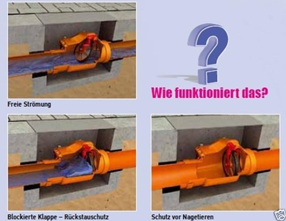 Capricorn 9-5000-160-00-03-11 Rückstauverschluss, Orange