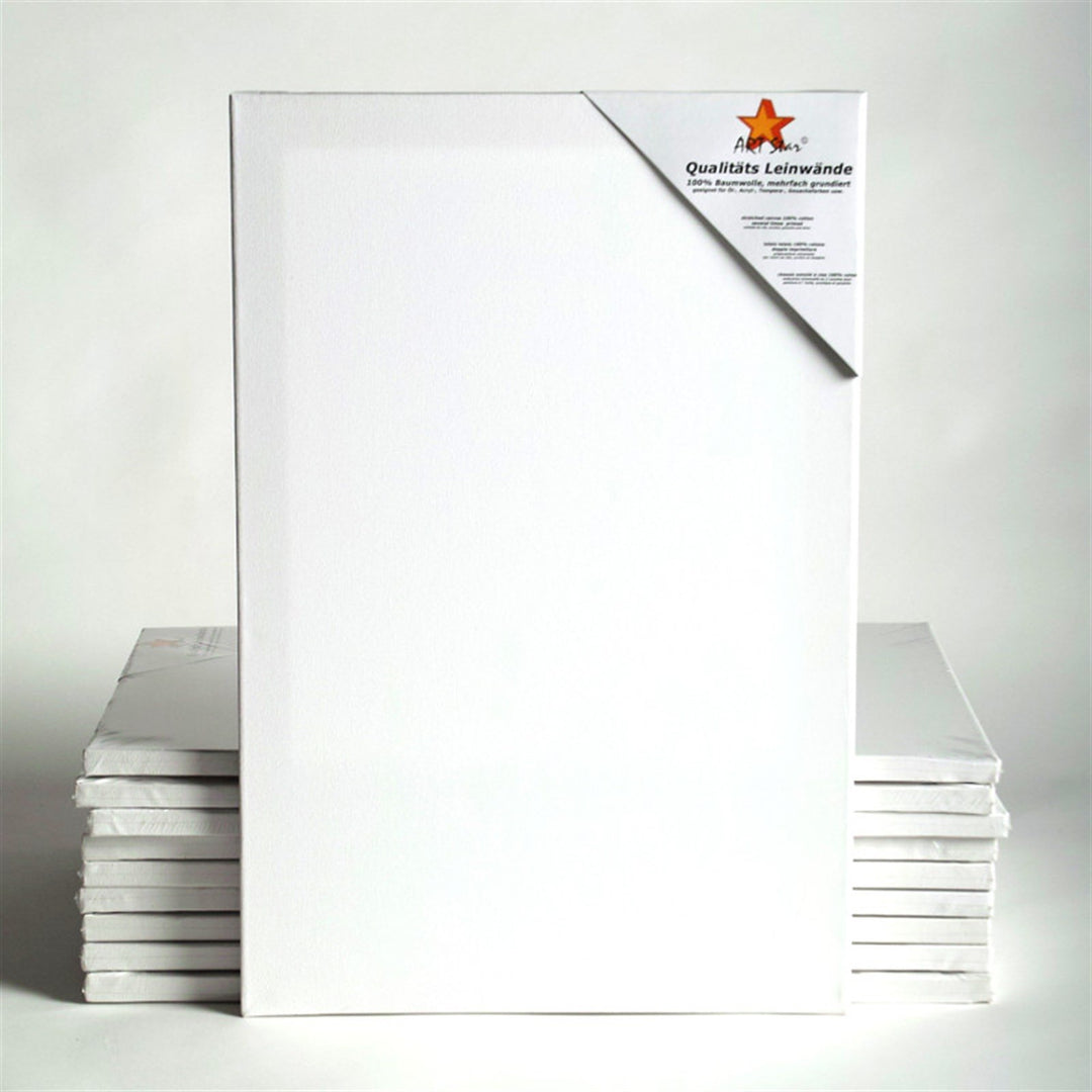Art-Star 10x University KEILRAHMEN 40x80 cm | Leinwände auf Keilrahmen 40x80 cm | Leinwandtuch vorgr