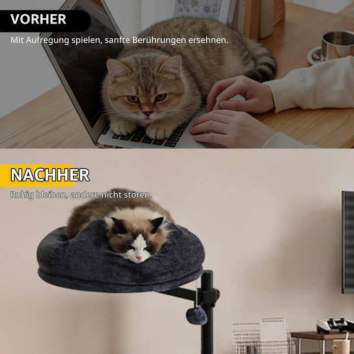 Katzenbett Schreibtisch, 360° Drehung Hängebett für Katzen Bohrfrei &amp; Höhenverstellbar, Katzenhängem