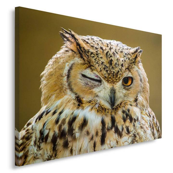 Feeby Bilder Eule Tier 60x40 cm Wohnzimmer Schlafzimmer Büro Flur Küche Wandbilder Modern Bild auf L