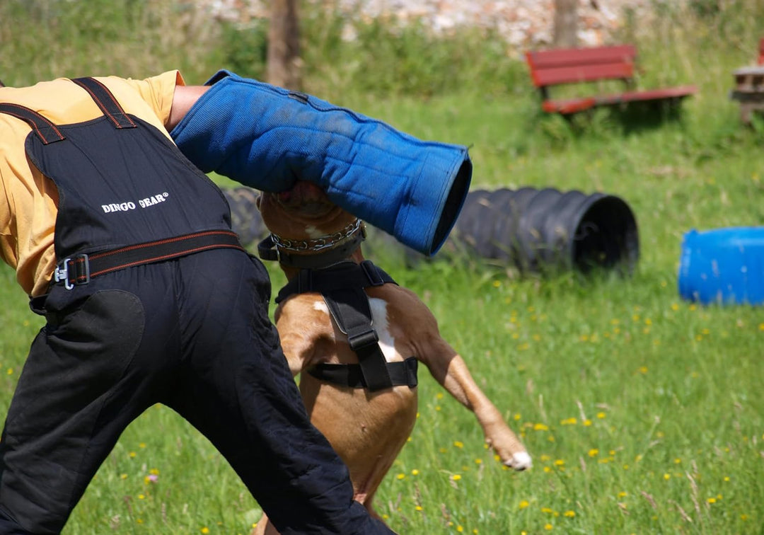 Dingo Gear Schutzarm Extern Soft aus Nylcot Schwarz Bissmanschette Hundeausbildung Hundetraining Bis