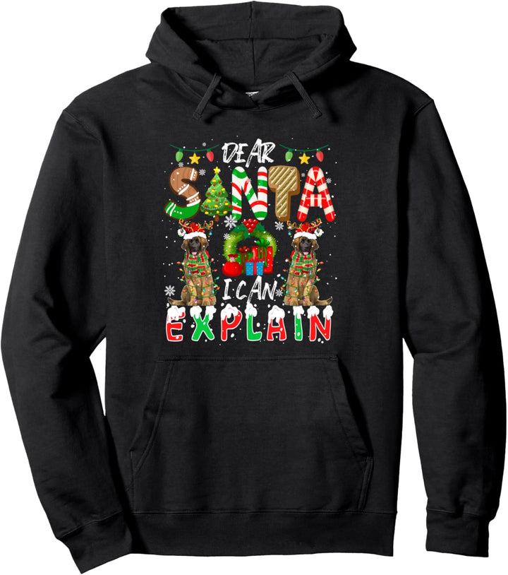 I Can Explain Christmas Two Santa Reindeer Leonbergers Pullover Hoodie