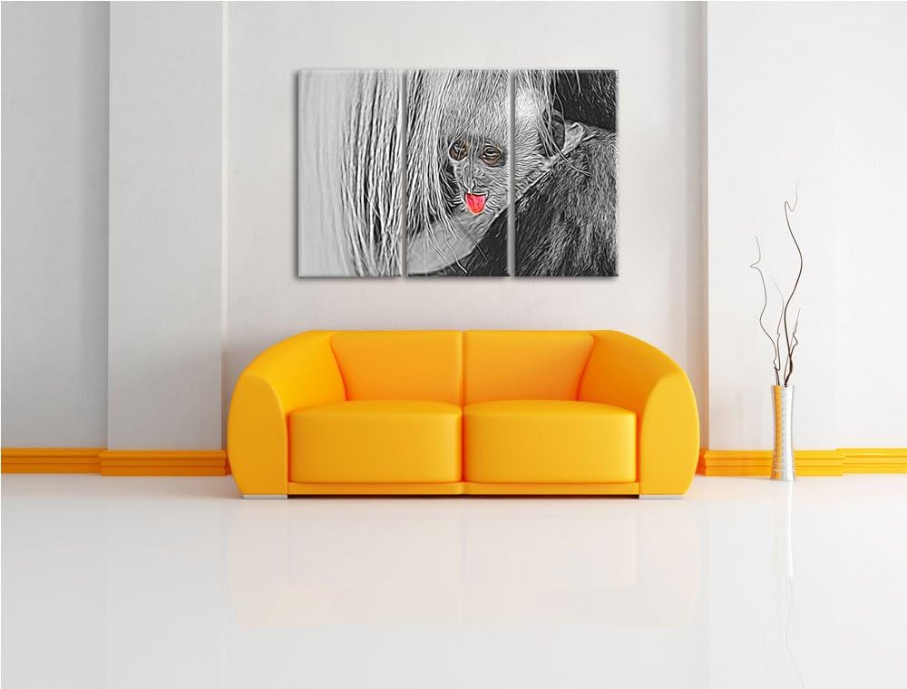 bildschönes Colobus-Äffchen schwarz/weiss Deluxe 3-Teiler Leinwandbild 120x80 Bild auf Leinwand, XXL