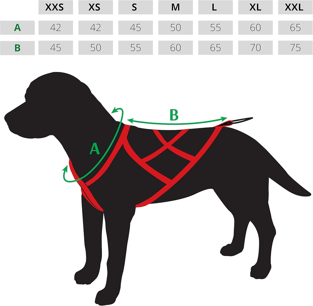 Dingo Hundegeschirre Sled Farbe Grün Zuggeschirr Canicross Bike-Ski-Jöring Training Dogtrekking Gros