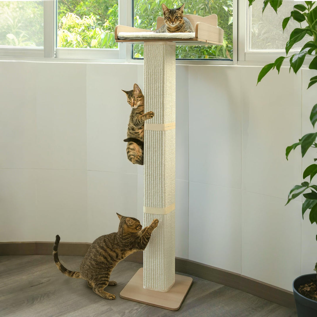 Katzenrastenstange mit Kratzbaum, Katzenhängematte für Fenster mit 2 Saugnäpfen, Sisal Hoher Katzenk
