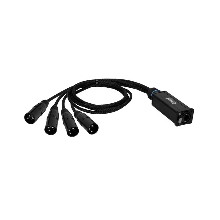 Adam Hall Cables 4 STAR CATBOX XM3 - Audio & DMX Adapter 3-Pol XLR Male x Cat.6a, Male