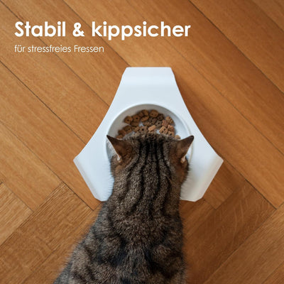 LucyBalu® Ergonomischer Katzennapf erhöht | Erhöhter Futternapf für Katzen | Ergonomischer Fressnapf