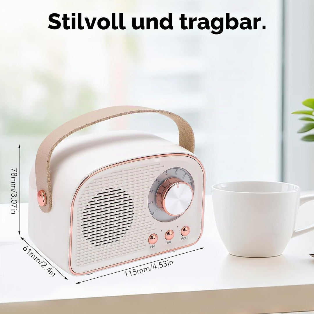 Garsent Retro BT -Lautsprecher, Kleiner Handheld Tragbares Vintage -Dekor für Home Outdoor DW21, 500