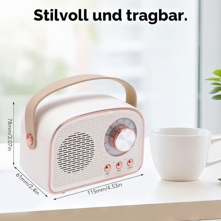 Garsent Retro BT -Lautsprecher, Kleiner Handheld Tragbares Vintage -Dekor für Home Outdoor DW21, 500