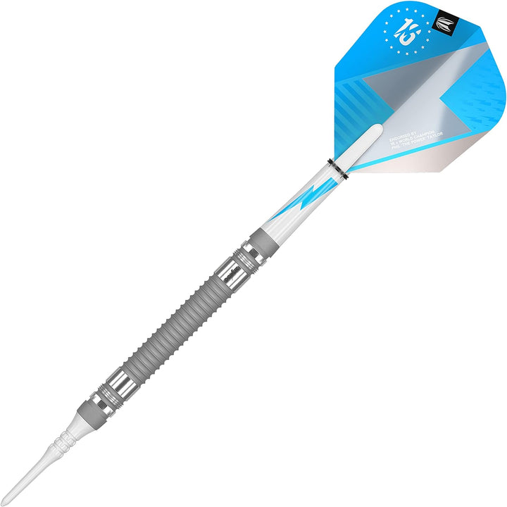 Target Darts Phil Taylor Power Series Wolfram Softdarts-Set Dartpfeile - Schwarz und Silber Silber 2