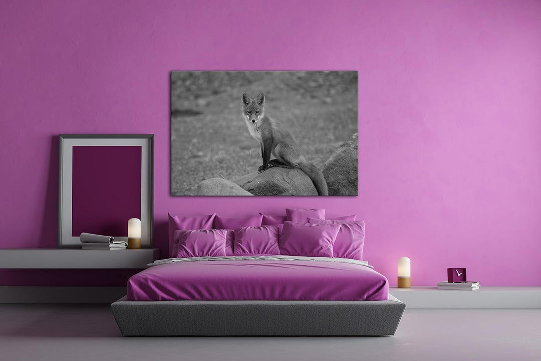 deyoli abwartender Fuchs Effekt: Schwarz/Weiss Format: 80x60 als Leinwandbild, Motiv fertig gerahmt