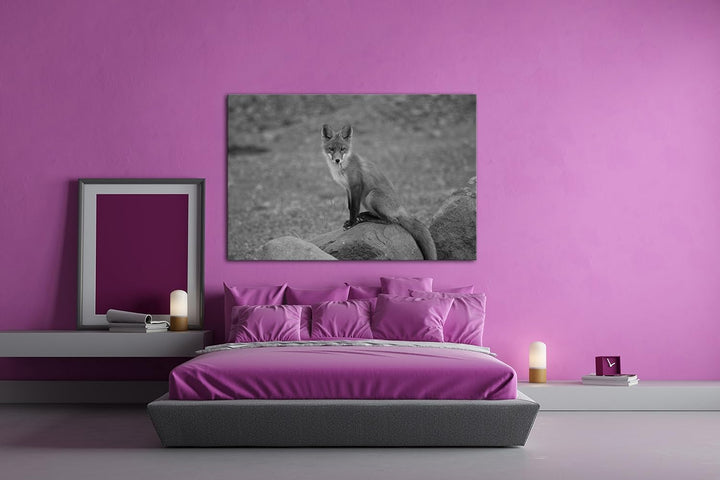 deyoli abwartender Fuchs Effekt: Schwarz/Weiss Format: 80x60 als Leinwandbild, Motiv fertig gerahmt