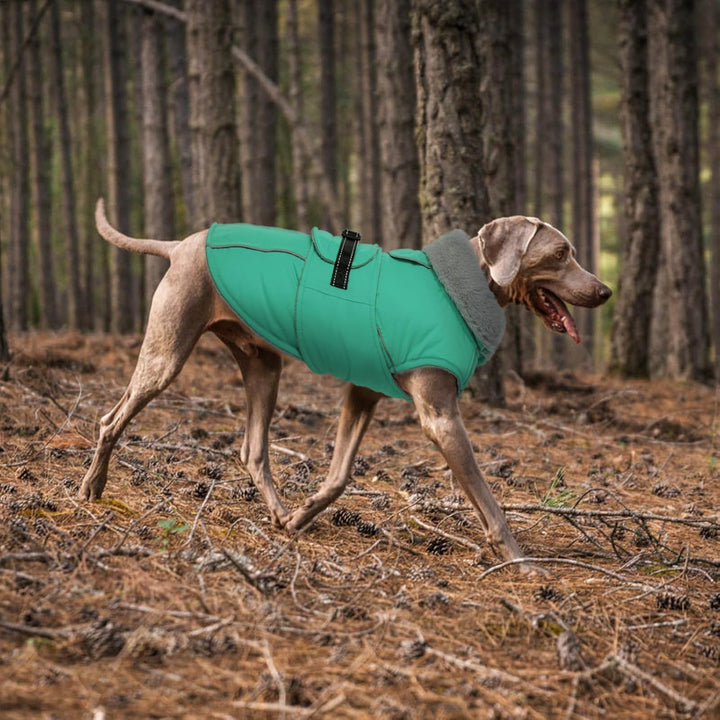 Lelepet Hundemantel Winterweste Reflektierende Fleece Hundejacke für Extra Grosse Hunde Wasserdicht