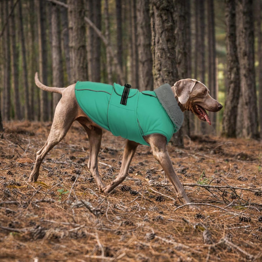 Lelepet Hundemantel Winterweste Reflektierende Fleece Hundejacke für Grosse Hunde Wasserdicht Hundej
