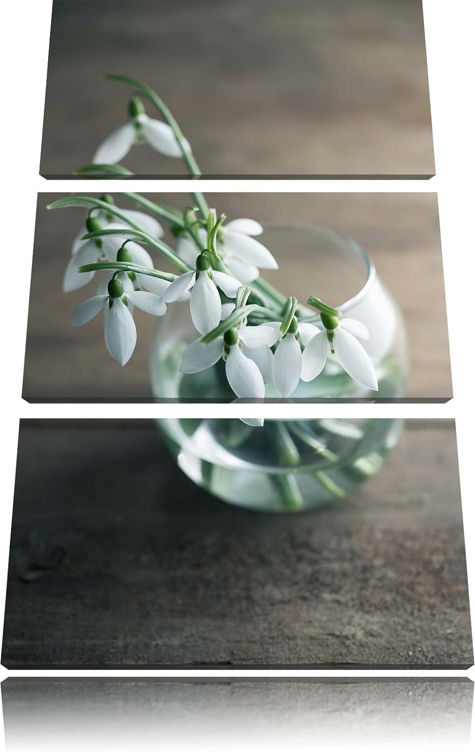 Pixxprint Schneeglöckchen in der Vase als Leinwandbild/Grösse: 3 Teilig (120x80) cm/Wandbild/Kunstdr