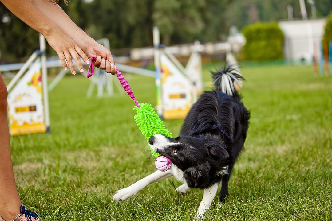 Dingo Mop Bungee Grün Mikrofaser mit Vanille Duft Ball Hundespielzeug Agility Apporte zum Spielen Ta