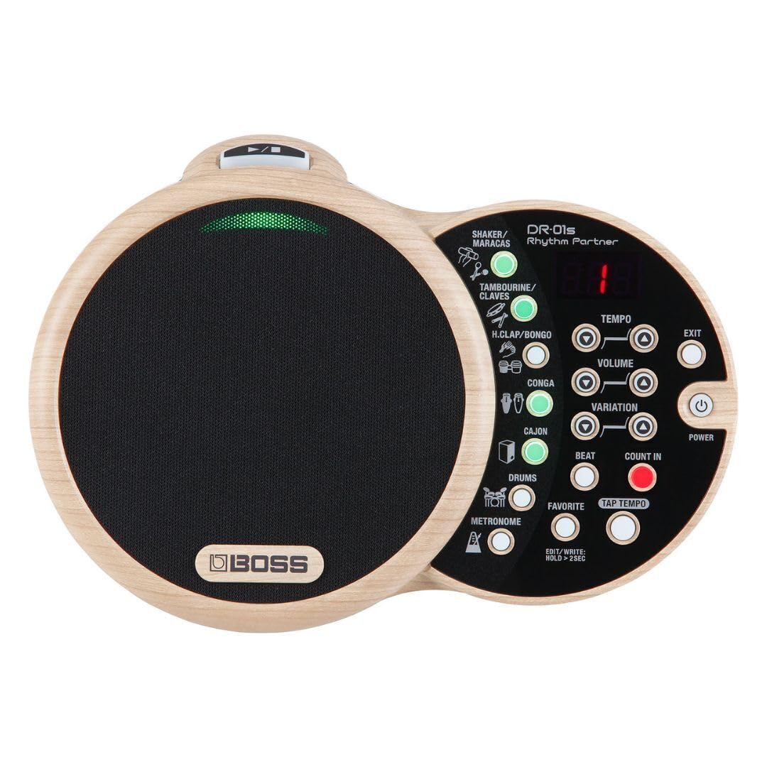 Boss DR-01S Rhythm Partner, DR-01S