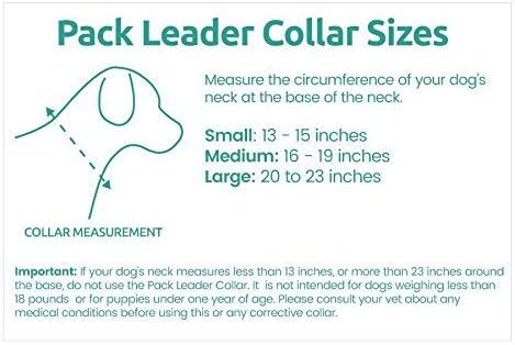 Cesar Millan Pack Leader Collar - Trainingshalsband des Hundeflüsterers S Blau, S Blau