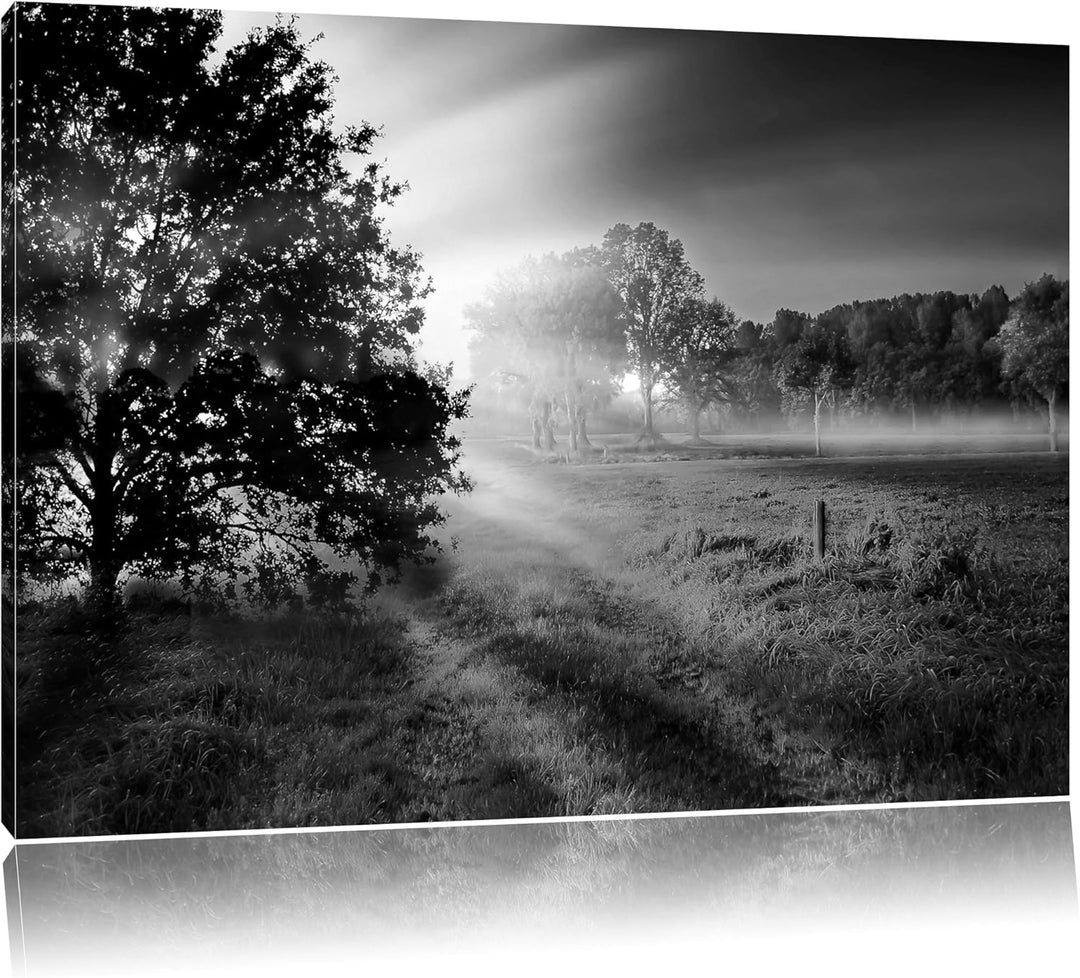 schöne Lichtung im Wald schwarz/weiss Format: 100x70 auf Leinwand, XXL riesige Bilder fertig gerahmt