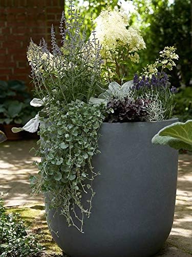 Pflanzwerk® Pflanzkübel Cup - Blumentöpfe Übertöpfe 27cm Ø GRAU *Frostbeständige Blumenkübel* *UV-Sc