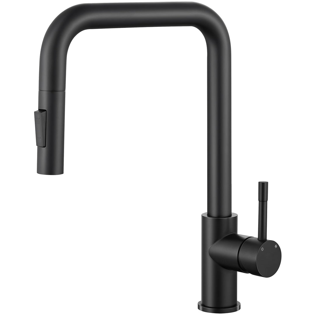 CECIPA Wasserhahn für Küche - Schwarz, Ausziehbare Küchenarmatur mit Brause, 360° Schwenkbar, Zwei S