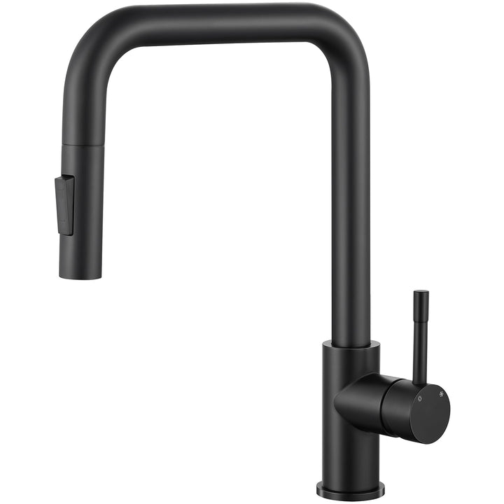 CECIPA Wasserhahn für Küche - Schwarz, Ausziehbare Küchenarmatur mit Brause, 360° Schwenkbar, Zwei S