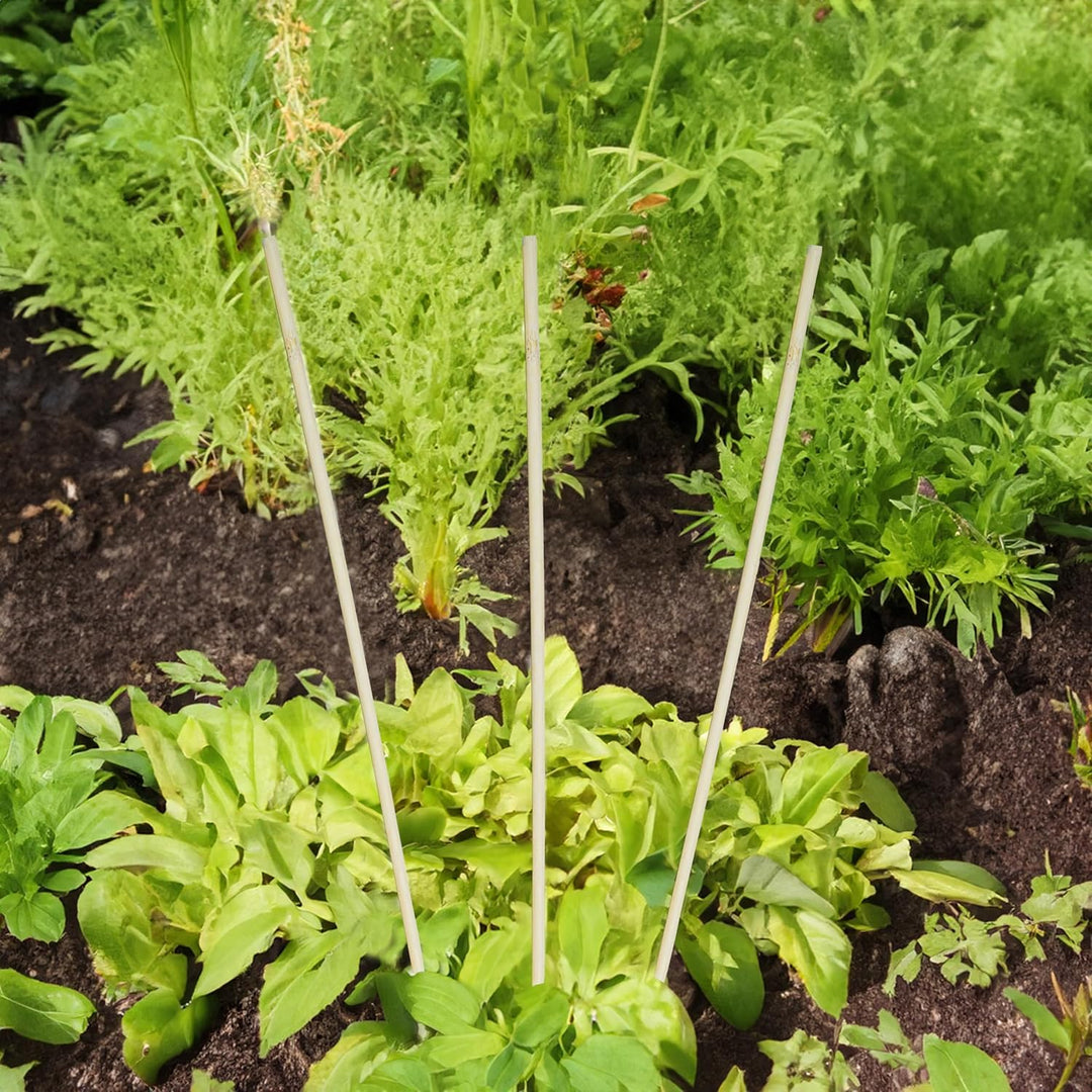 Bambus Splittstab 90 cm Natur - 200 Stück - Anzuchthilfe für Pflanztöpfe und Beete - Garten Pflanzst