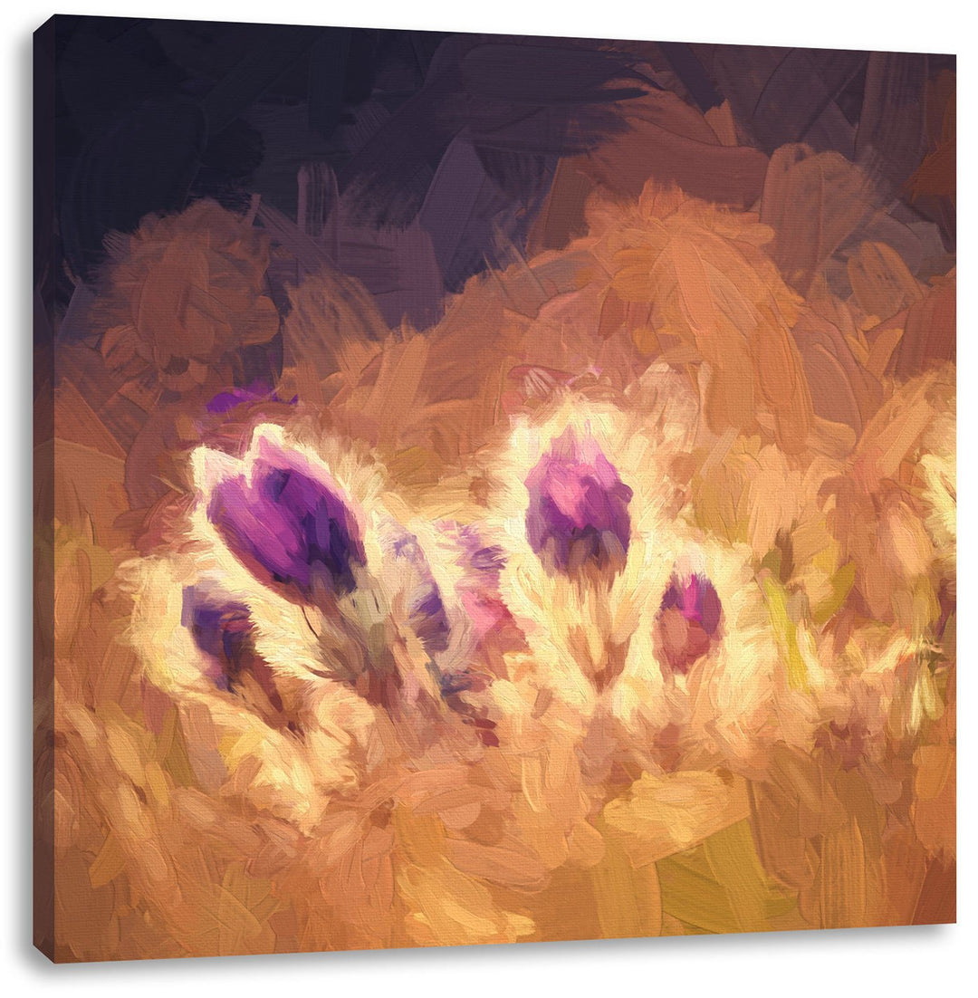 Pixxprint Lila Küchenschelle auf Bergwiese als Leinwandbild/Grösse: 70x70 cm/Wandbild/Kunstdruck/fer