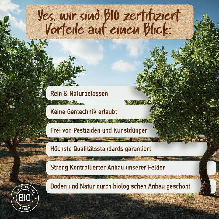 ARGANÖL BIO KALTGEPRESST | 100% Rein | Für Haare Haut & Nägel | Pipette+Pumper | Original aus Marokk