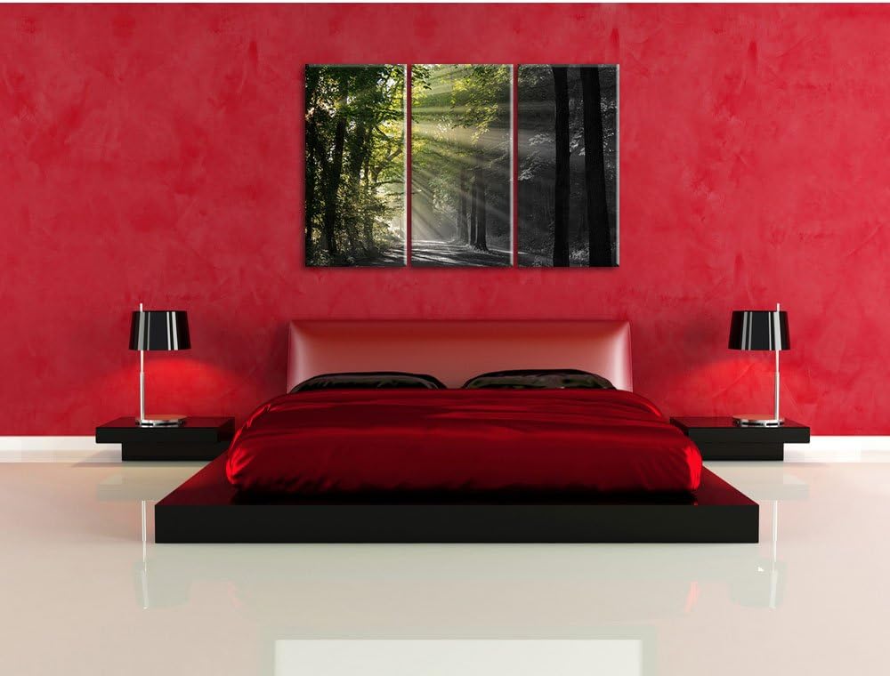 Pixxprint Waldweg im Frühling als Leinwandbild/Grösse: 3 Teilig (120x80) cm/Wandbild/Kunstdruck/fert
