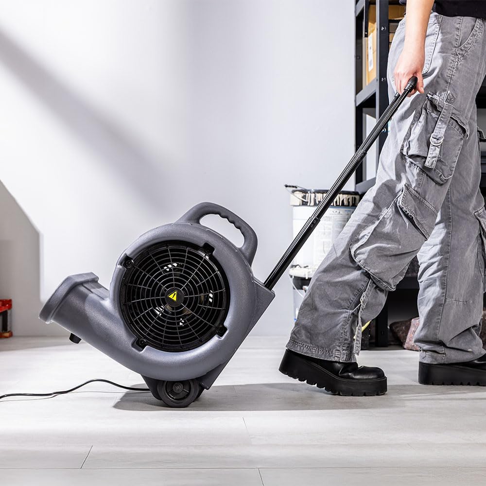 Cecotec Blowindustry 6000 Flowfloor, 600 W, 1350 U/min, 3 Geschwindigkeiten, Luftstrom 2700 m³/h, Rä