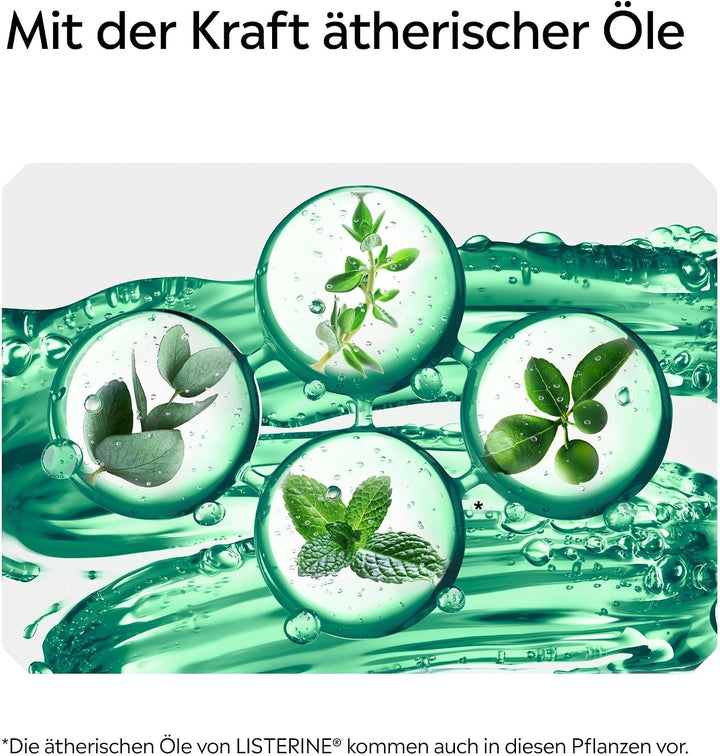 Listerine Fresh Mint (6 x 500 ml), antibakterielle Mundspülung mit ätherischen Ölen für einen frisch