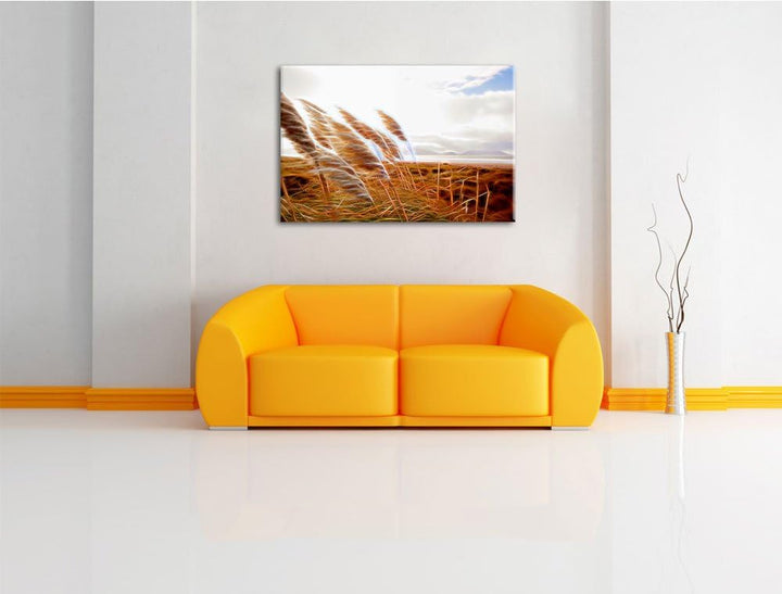 Schönes Schilf in den Dünen Deluxe Format: 100x70 cm auf Leinwand, XXL riesige Bilder fertig gerahmt