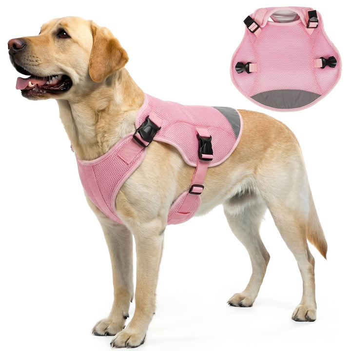 Kühlweste für Hunde 2XL, Hundekühlweste für grosse Hunde, Atmungsaktiv & Leicht, Verdunstungskühlung